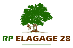 elagueur-rp-elagage